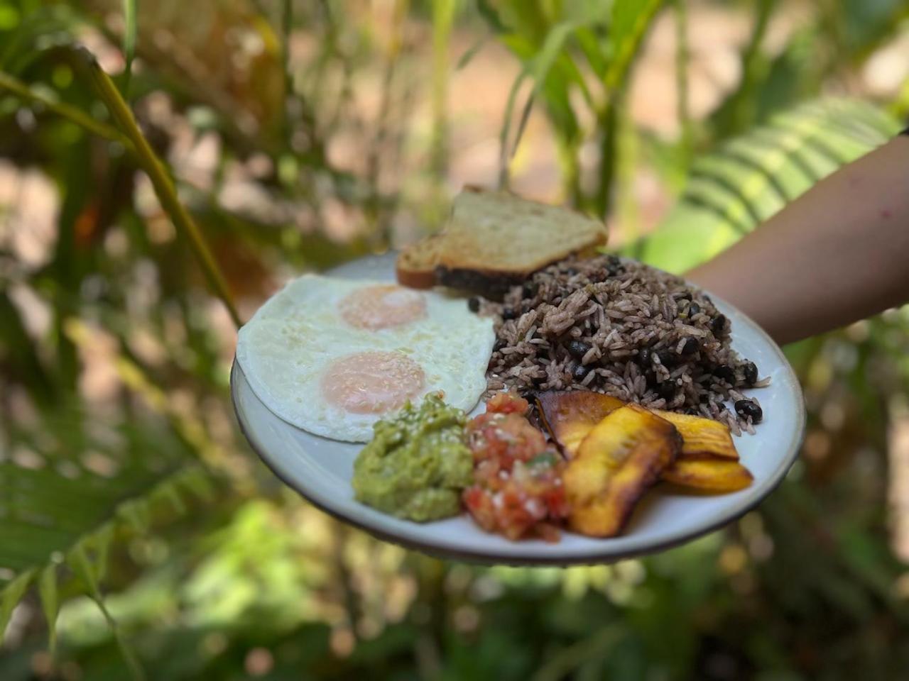 Dream Surf House Santa Teresa Hostel Playa Hermosa Cobano Ngoại thất bức ảnh