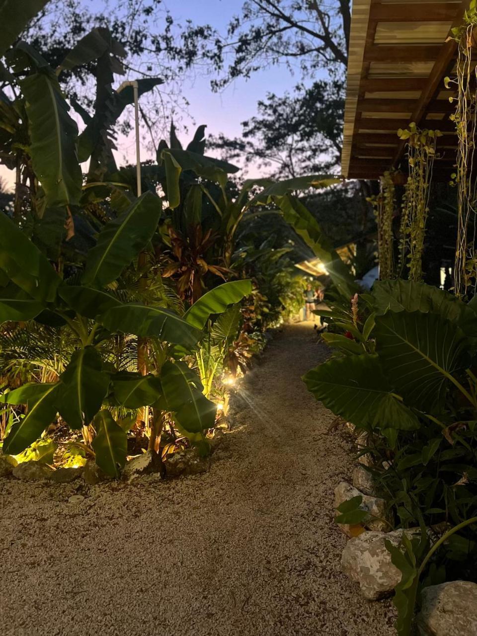 Dream Surf House Santa Teresa Hostel Playa Hermosa Cobano Ngoại thất bức ảnh
