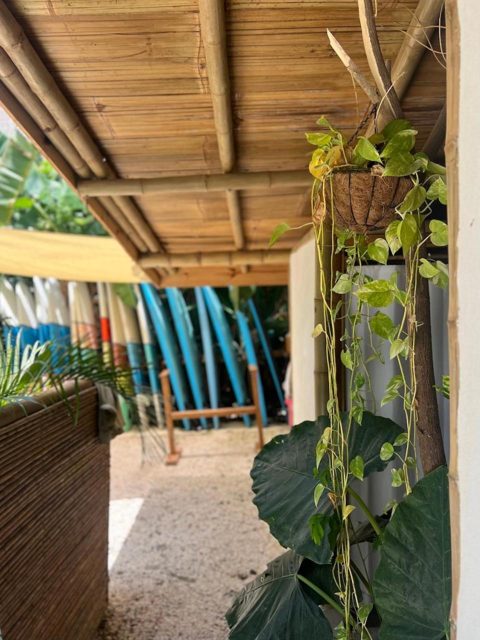 Dream Surf House Santa Teresa Hostel Playa Hermosa Cobano Ngoại thất bức ảnh