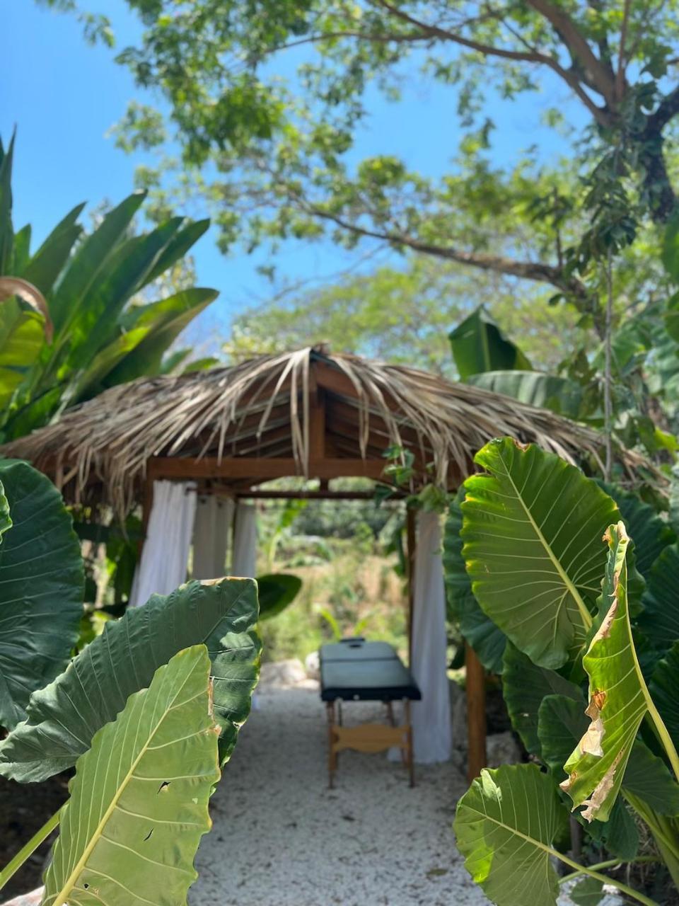 Dream Surf House Santa Teresa Hostel Playa Hermosa Cobano Ngoại thất bức ảnh