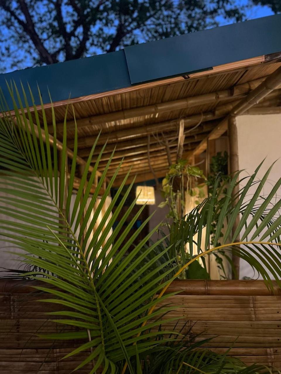 Dream Surf House Santa Teresa Hostel Playa Hermosa Cobano Ngoại thất bức ảnh