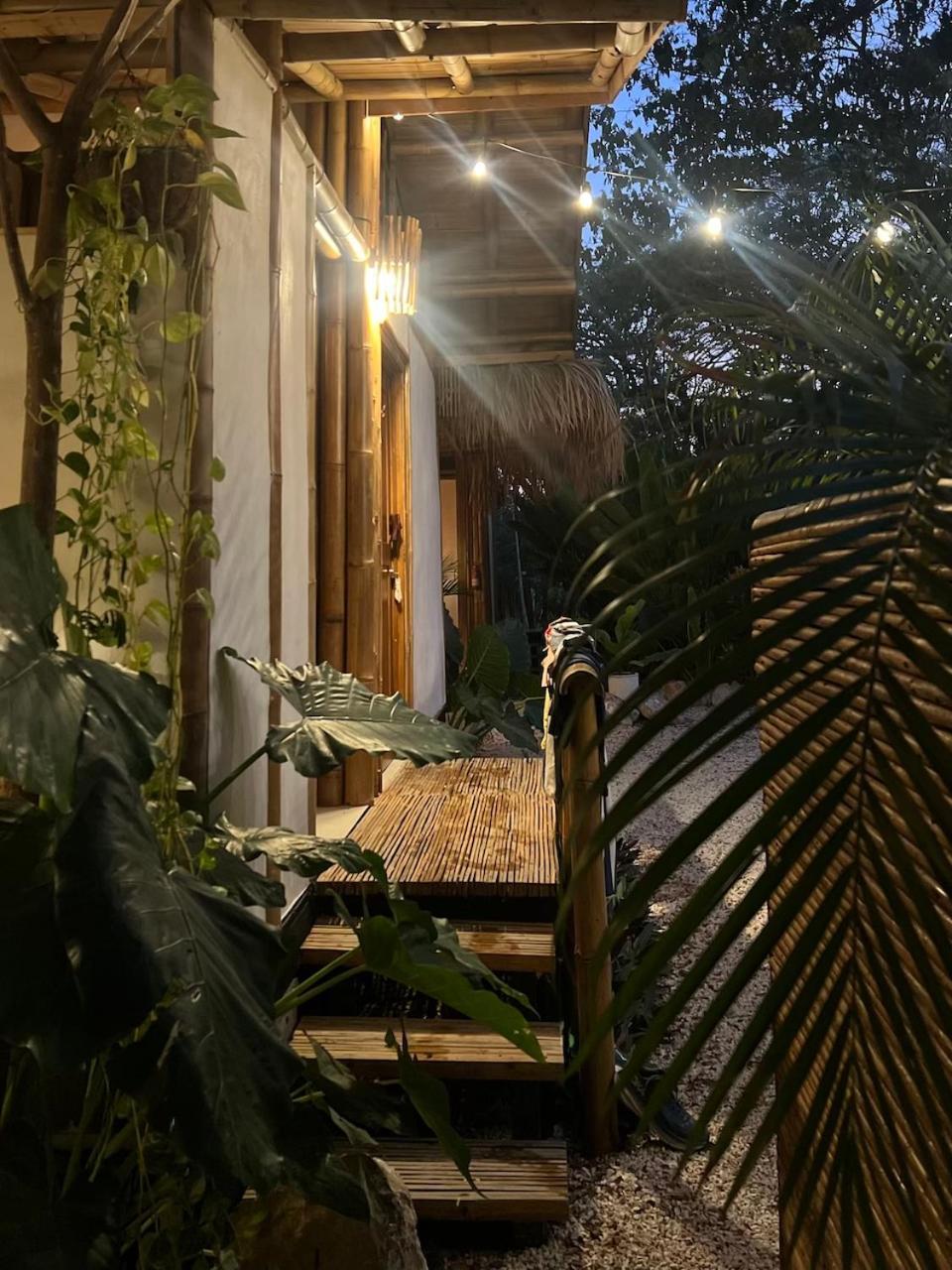 Dream Surf House Santa Teresa Hostel Playa Hermosa Cobano Ngoại thất bức ảnh