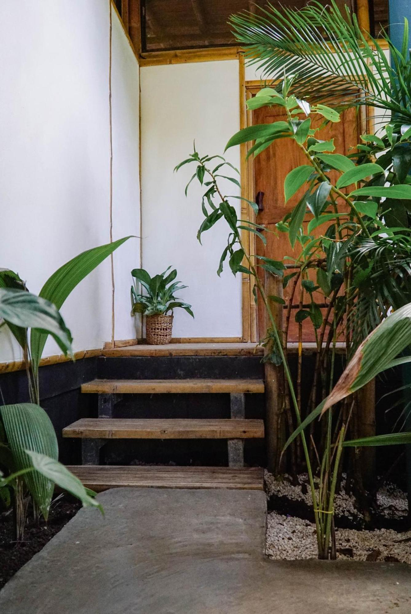 Dream Surf House Santa Teresa Hostel Playa Hermosa Cobano Ngoại thất bức ảnh