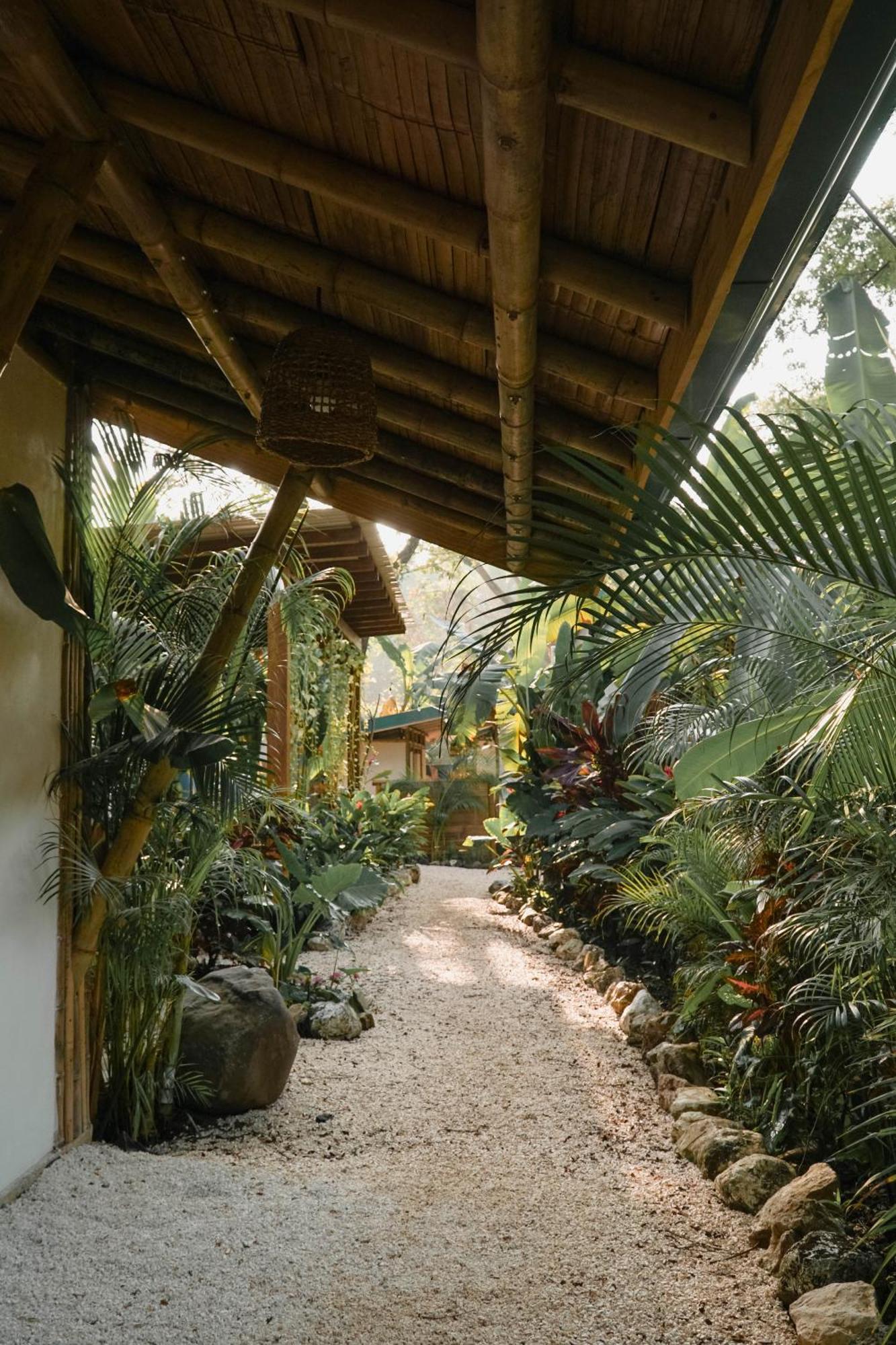 Dream Surf House Santa Teresa Hostel Playa Hermosa Cobano Ngoại thất bức ảnh