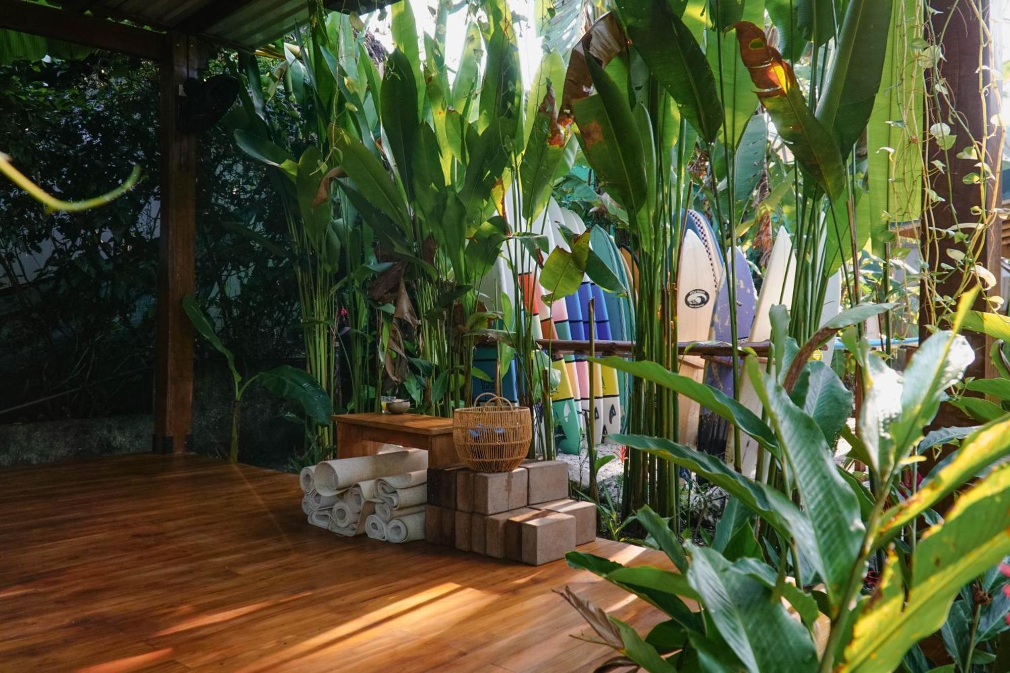 Dream Surf House Santa Teresa Hostel Playa Hermosa Cobano Ngoại thất bức ảnh