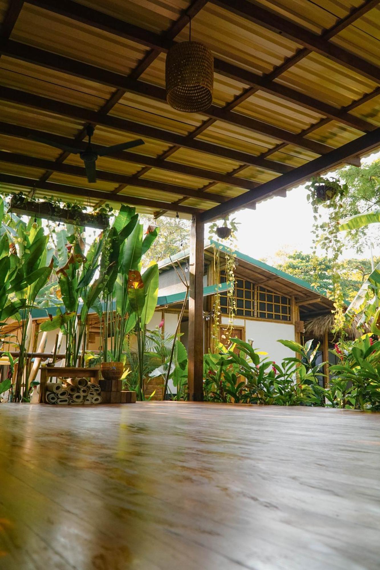 Dream Surf House Santa Teresa Hostel Playa Hermosa Cobano Ngoại thất bức ảnh