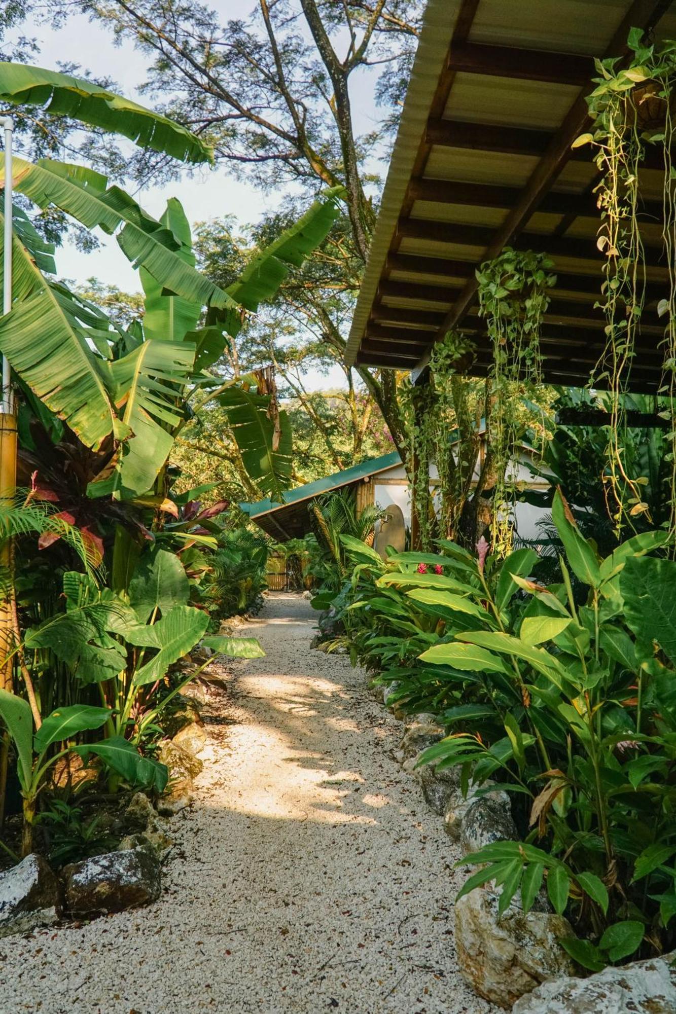 Dream Surf House Santa Teresa Hostel Playa Hermosa Cobano Ngoại thất bức ảnh