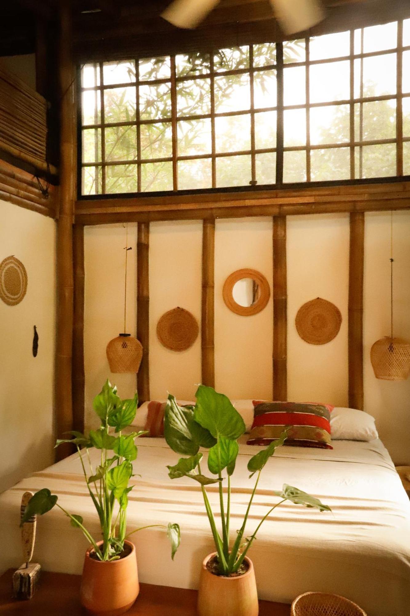 Dream Surf House Santa Teresa Hostel Playa Hermosa Cobano Ngoại thất bức ảnh