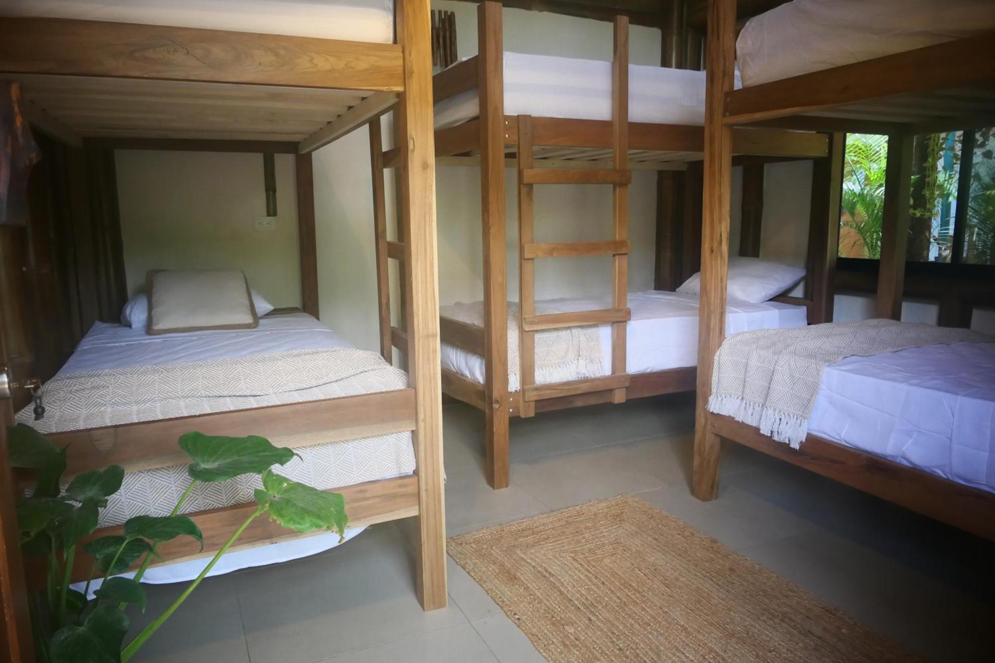 Dream Surf House Santa Teresa Hostel Playa Hermosa Cobano Ngoại thất bức ảnh