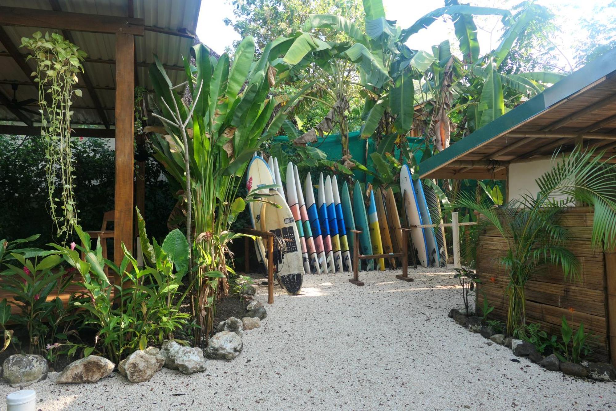 Dream Surf House Santa Teresa Hostel Playa Hermosa Cobano Ngoại thất bức ảnh