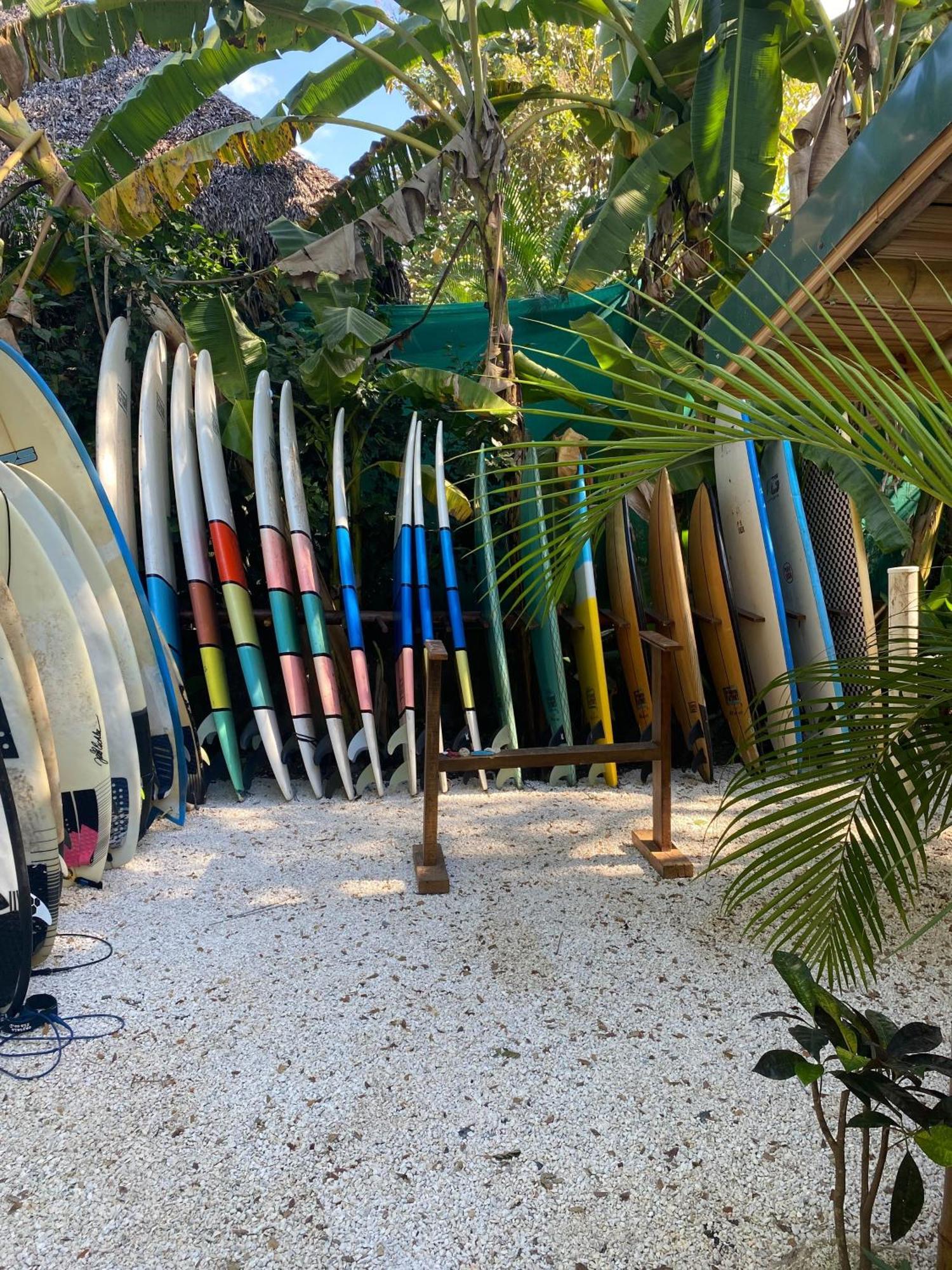 Dream Surf House Santa Teresa Hostel Playa Hermosa Cobano Ngoại thất bức ảnh